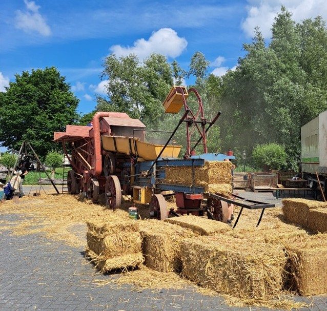 03_dorsen_5